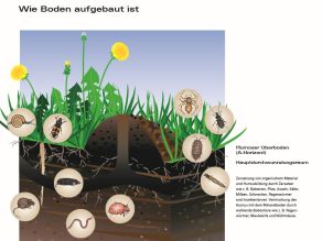 Schemazeichnung zum Bodenaufbau