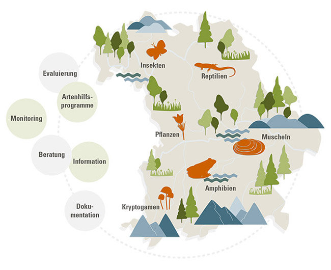 Auf dem Bayernumriss sind stilisiert die Artengruppen dargestellt, die das BayAZ bearbeitet: Insekten, Reptilien, Pflanzen, Muscheln, Amphibien und Kryptogamen. Wichtige Aufgaben stehen daneben in Kreisen: Evaluierung, Artenhilfsprogramme. Monitoring, Beratung, Information und Dokumentation.