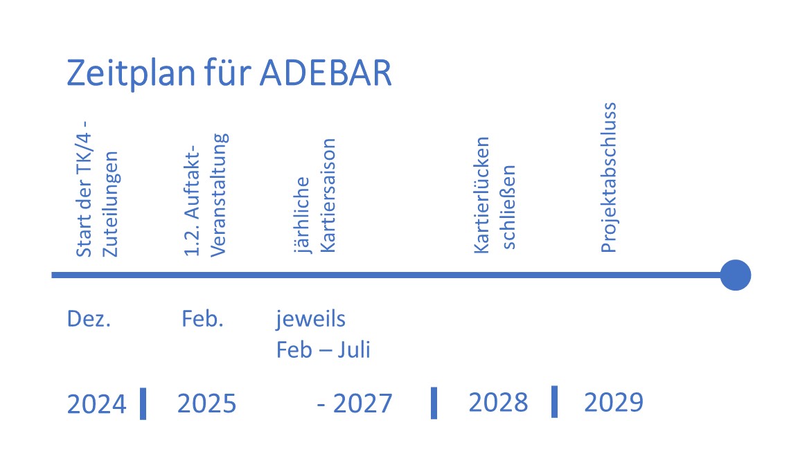 Ein Diagramm mit einem Zeitpfeil auf den der Projektstart im Dez. 2024 mit der Zuordnung von TK-Quadranten, die jährliche Kartiersaison März bis Juni für die Jahre 2025 bis 2027 dargestellt sind und für das Jahr 2028 die Schließung von Kartierlücken. Der Zeiplan endet 2029 mit dem Projektabschluss.