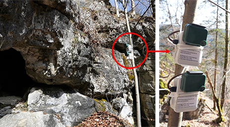Eine zweigeteilte Abbildung; auf der linken Seite ist ein Foto einer Felshöhle mit einem breiten Eingang zu sehen, wobei am rechten Bildrand ein dünner Baum steht, an dem 2 kleine, grüne Kästchen befestigt sind. Diese sind in einer Detailansicht im rechten Foto größer zu sehen: die grünen Kästchen, die die Rekorder beinhalten, sitzen auf grauen Dosen und sind mit Kabelbindern am Baum befestigt. 