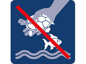 Stilisierte Hand mit Schildkröte, darunter ein Fisch im Wasser, rot durchgestrichen.