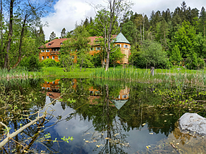 Vogelschutzwarte mit Weiher im Sommer.