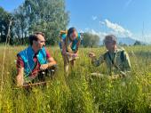 PM 38/2024:  Von links: Dr. Fridtjof Gilck vom Bayerischen Artenschutzzentrum, Biodiversitätsberaterin Bettina Gschlößl und Kartierer Christian Niederbichler beim Ortstermin am südlichen Chiemseeufer 