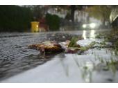 Im Herbst bildet sich in der Nähe von Kastanienbäumen bei Regen Schaum auf den Straßen