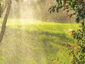 Regentropfen in der Luft und kräftig mit Wasser besprengter Rasen an einem sonnigen Tag.