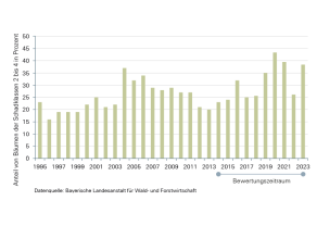 Entwicklung des Anteils von Waldbäumen der Schadstufen 2 bis 4 an begutachteten Waldbäumen seit 1995; zwischen 2014 und 2023 hat sich der Zustand der Baumkronen insgesamt deutlich verschlechtert, der Zustand schwankt zwischen den einzelnen Jahren zum Teil stark. Aktuell liegt der Anteil der Waldbäume in diesen Schadstufen bei rund 38 Prozent, 2013 waren es nur rund 20 Prozent.