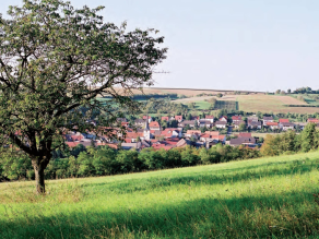 Landschaft mit Bäumen und landwirtschaftlich genutzten Flächen.