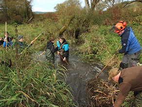 Mehrere Jugendliche stehen mit Wathosen bis zur Hüfte im Wasser des Karlsteiner Bachs und legen mit Harken das Bachbett frei. Zwei Männer unterstützen am dicht mit Gras und Schilf bewachsenen Ufer stehend.