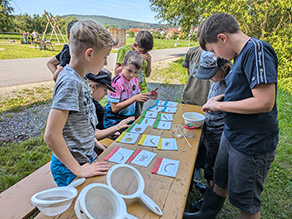 Mehrere Kinder bestimmen anhand von kleinen Bildtafeln Gewässerorganismen, die sie zuvor mit Sieben in einem Bach gesammelt haben und nun in Becherlupen betrachten.