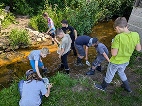 Mehrere Kinder mit Gummistiefeln sammeln bei einem Gewässeraktionstag ('Fischer machen Schule') im Wasser und am Ufer stehend mit Sieben Gewässerorganismen in einem Bach.