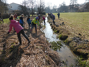 Mehrere Kinder stehen mit Harken und Rechen am Ufer und in einem kleinen Bach und entfernen Schwimmpflanzen und Schlamm aus dem Gewässer.