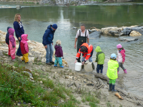 Mehrere Erwachsenen und Kinder stehen mit einem Eimer und Kescher am Ufer eines Flusses um Wasserlebewesen zu erkunden.