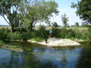 Ein Hund auf einem flachen Kiesufer eines Flusses. Im Hintergrund zwei Personen, davon eine mit Fahrrad.