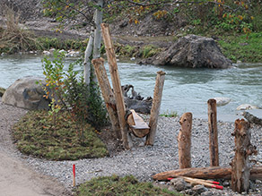 Eine Sitzgelegenheit an einem Bach aus mehreren Baumstämmen. Das kiesige Ufer fällt flach zum Bach ab. Im Hintergrund ein Wurzelstock am Bachufer.