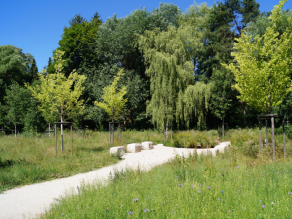 Ein Weg zu mehreren Sitzmöglichkeiten aus Natursteinen in einer Grünanlage mit blühenden Wiesenflächen und jungen Bäumen.