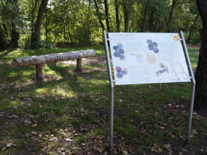 Eine Infotafel des Vogellehrpfades zum Thema Lebendiges Wasser steht unter einem Baum. Im Hintergrund ein Baumstamm als Sitzmöglichkeit mit der Aufschrift Baumtelefon.