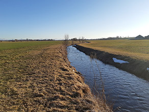 Begradigter Bach zwischen Grünland, am Ufer nur vereinzelte Gehölze.