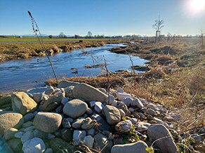 Ein Steinhaufen mit Kieseln befindet sich am Ufer eines Baches. Der Bach verläuft leicht geschwungen und mit hoher Breitenvarianz. Die Ufer sind mit Altgras bewachsen. Im Hintergrund Gehölzpflanzungen.