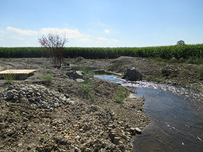 Die abgeflachten Kiesufer eines Baches noch weitestgehend unbewachsen. Ein Holzpodest wurde einige Meter vom Ufer entfernt aufgebaut. Im Hintergrund ein Maisfeld.