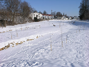 Eine tieferliegende Fläche mit vereinzelten Bäumen ist von Schnee bedeckt. Im Hintergrund Wohnbebauung.
