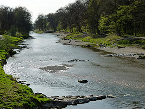 Ein Fluss mit flach überströmter Kiessohle und abgeflachten Ufern ist von Wald umgeben. Auf den Kiesflächen an den Ufern im Hintergrund befinden sich zahlreiche Personen.