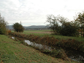 Ein Fluss mit gerader Linienführung fließt durch eine Kulturlandschaft mit vereinzelten Gebüschen am Ufer und landwirtschaftlichen Flächen im Hintergrund.