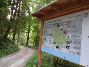 Eine Infotafel zum Wildbachlehrpfad am Lainbach (Willkommen am Lainbach) steht in einem Wald am Wegesrand.