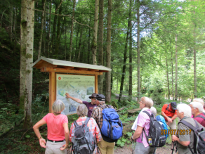 Bei einem Aktionstag zum Wildbachlehrpfad erklärt ein Mann einer Gruppe von Erwachsenen etwas an einer Infotafel des Wildbachlehrpfades am Lainbach zur Geologie des Lainbachtales (Lehrtafel-Nr. 4).