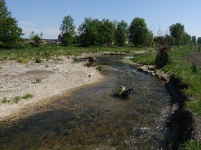 Renaturierter Flussabschnitt mit abgeflachten Ufern und Totholzstrukturen.