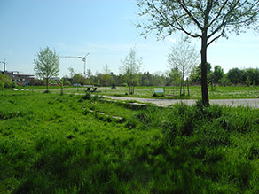 An einem Geh- und Radweg, der durch eine Grünanlage verläuft, befinden sich Sitzstufen, eine Fitnessstation und Holzliegen.
