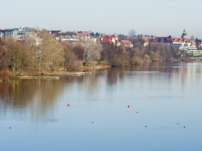 Auf einem aufgestauten Fluss im städtischen Bereich schwimmen Wasservögel und Bojen. Das Ufer ist weitestgehend dicht bewachsen, mehrere Stege führen auf das Wasser. Im Hintergrund Wohnbebauung.