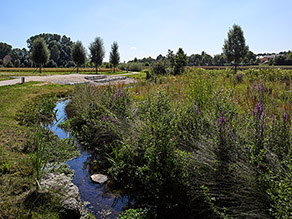 Renaturierter Retzbach mit naturnaher Ufergestaltung und Sitzmöglichkeiten.