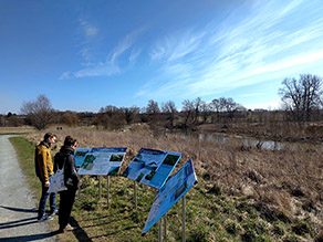 Zwei Personen informieren sich an mehreren Infotafeln am Wegesrand über Auenlebensräume. Im Hintergrund ein Fluss mit natürlichem Uferbewuchs.