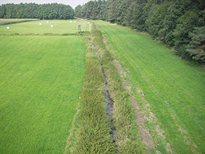 Die Sulz bei Rocksdorf vor der naturnahen Umgestaltung mit geradlinigem Verlauf, schmalen Gewässerrandstreifen und angrenzendem Grünland.
