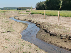Neu angelegter, geschwungener Gewässerlauf mit abgeflachten Uferböschungen. Der breite Ufersteifen ist bis auf einige frisch gepflanzte Bäume noch unbewachsen.