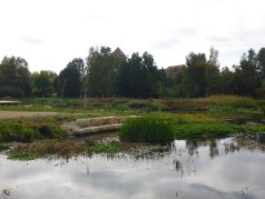 Blick auf ein Flussufer: Im Flachwasserbereich wachsen Wasserpflanzen und Schilf. Am Ufer dahinter ermöglicht eine Sitzmauer aus Natursteinen das Sitzen am Wasser. Im Hintergrund eine Flussschleife.