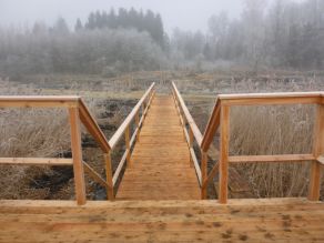 Blick von einer Holzplattform auf einen Steg aus Holz der durch einen Röhrichtbereich zu einem Gehweg führt. Im Hintergrund eine Auenlandschaft im winterlichen Nebel.