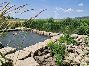 Ein Becken der Sohlrampe in der Wörnitz bei Niedrigwasser.