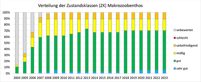 Grafik zu den Zustandsklassen (ZK) der Qualitätskomponente Makrozoobenthos an den Überblicksmessstellen (insgesamt 37) in den Jahren 2004 bis 2023. Weitere Erläuterung im nachstehenden Text.