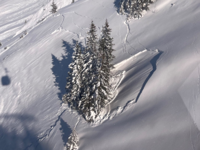 Eine Fichtenrotte hat ein kleines Schneebrett gestoppt. Unterhalb davon ist ein größeres Schneebrett abgegangen. Deutlich zu sehen sind weitere Risse in der Schneedecke links und oberhalb der Fichtenrotte.