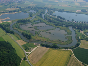 Luftbild von Unterbrunn nach der Renaturierung. Der Main durchfließt eine lange Schleife. Die Landschaft ist vielgestaltiger und dichter bewachsen.