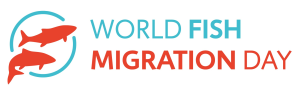 Logo des World Fish Migration Day mit Schriftzug und einer Zeichnung von zwei Fischen.