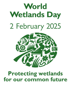 Logo des World Wetlands Day 2025 mit Schriftzug ('2 February 2025 - Protecting wetlands for our common future') und einem grünem Teichrosenblatt zusammengesetzt aus vielen einzelnen Illustrationen.